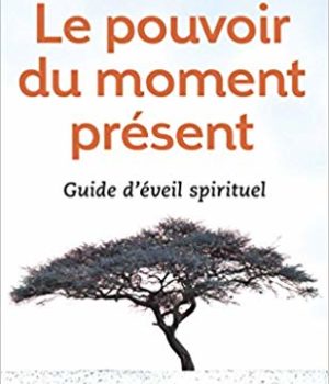le pouvoir du moment présent