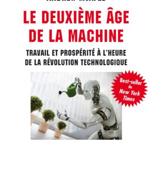 le deuxième age de la machine