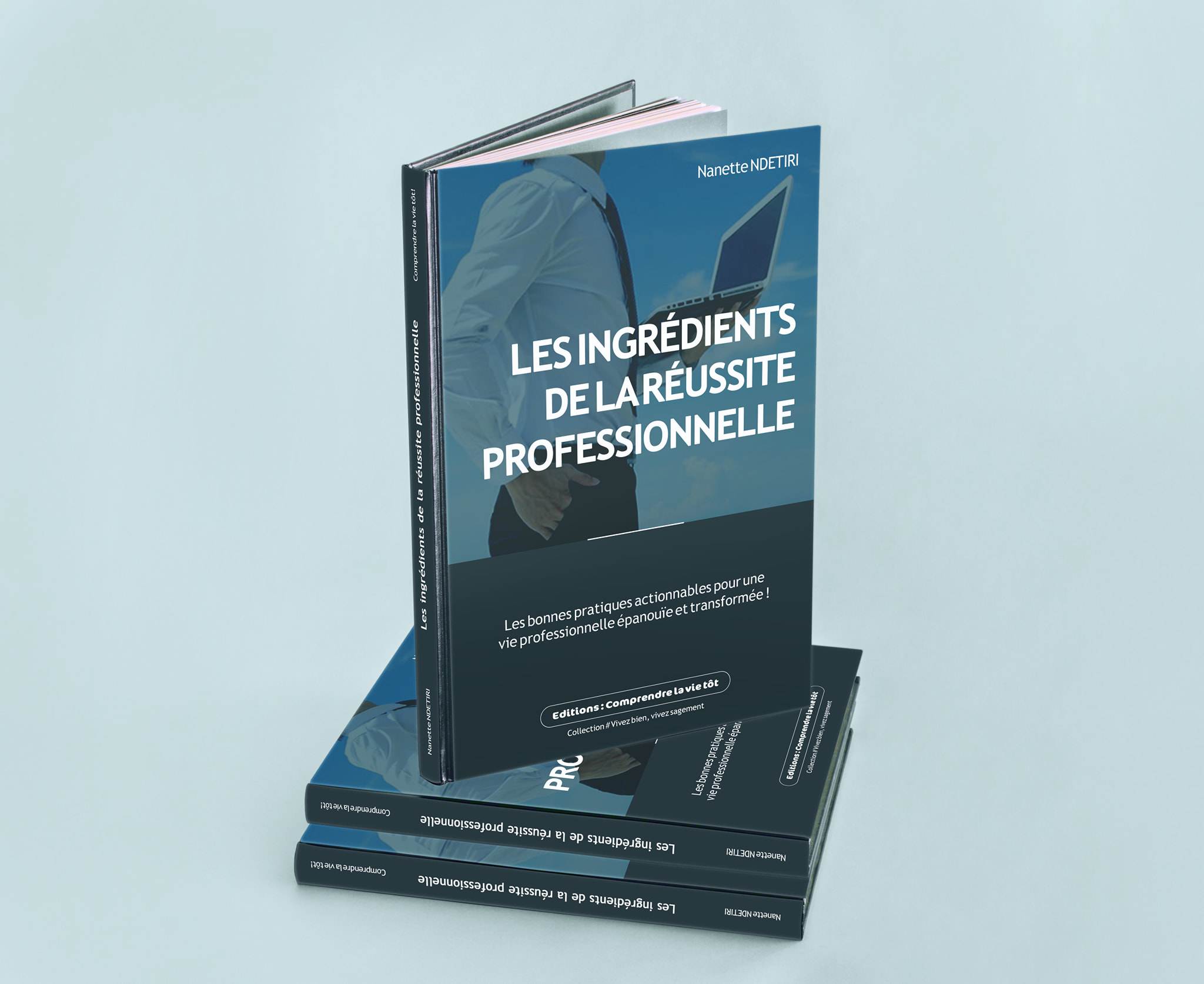 Les ingrédients de la réussite professionnelle Les ingrédients de la réussite professionnelle