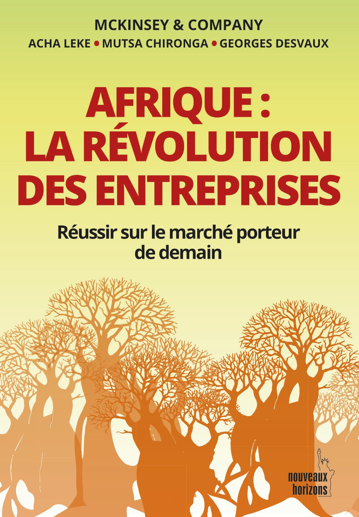 Afrique: la révolution des entreprises Afrique: la révolution des entreprises