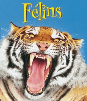FÉLINS