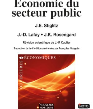 économie du secteur public