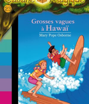 grosse vague à Hawaï