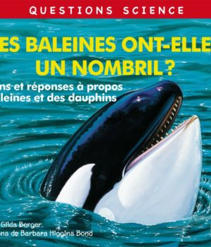 les baleines ont elles un nombril