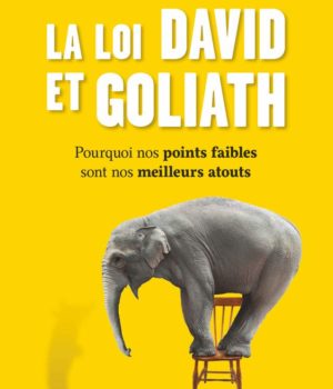 la loi de david et goliath