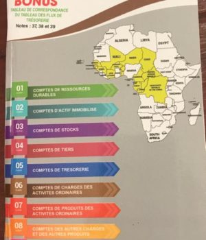 liste intégrale des comptes et états financiers normalisés Syscohada révisé