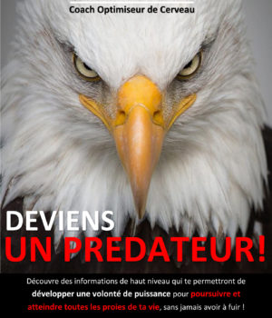 Deviens un prédateur Martial Krekoumou